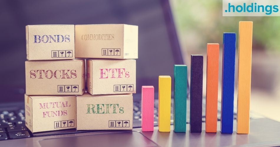 dot-holdings-domain