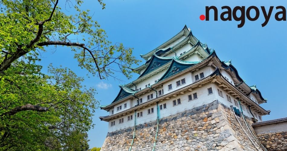 dot-nagoya-domain